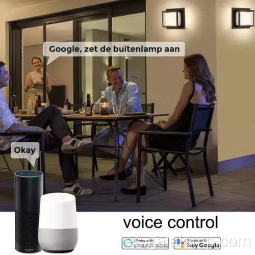 Luz impermeable inteligente inalámbrica para el montaje exterior de la pared